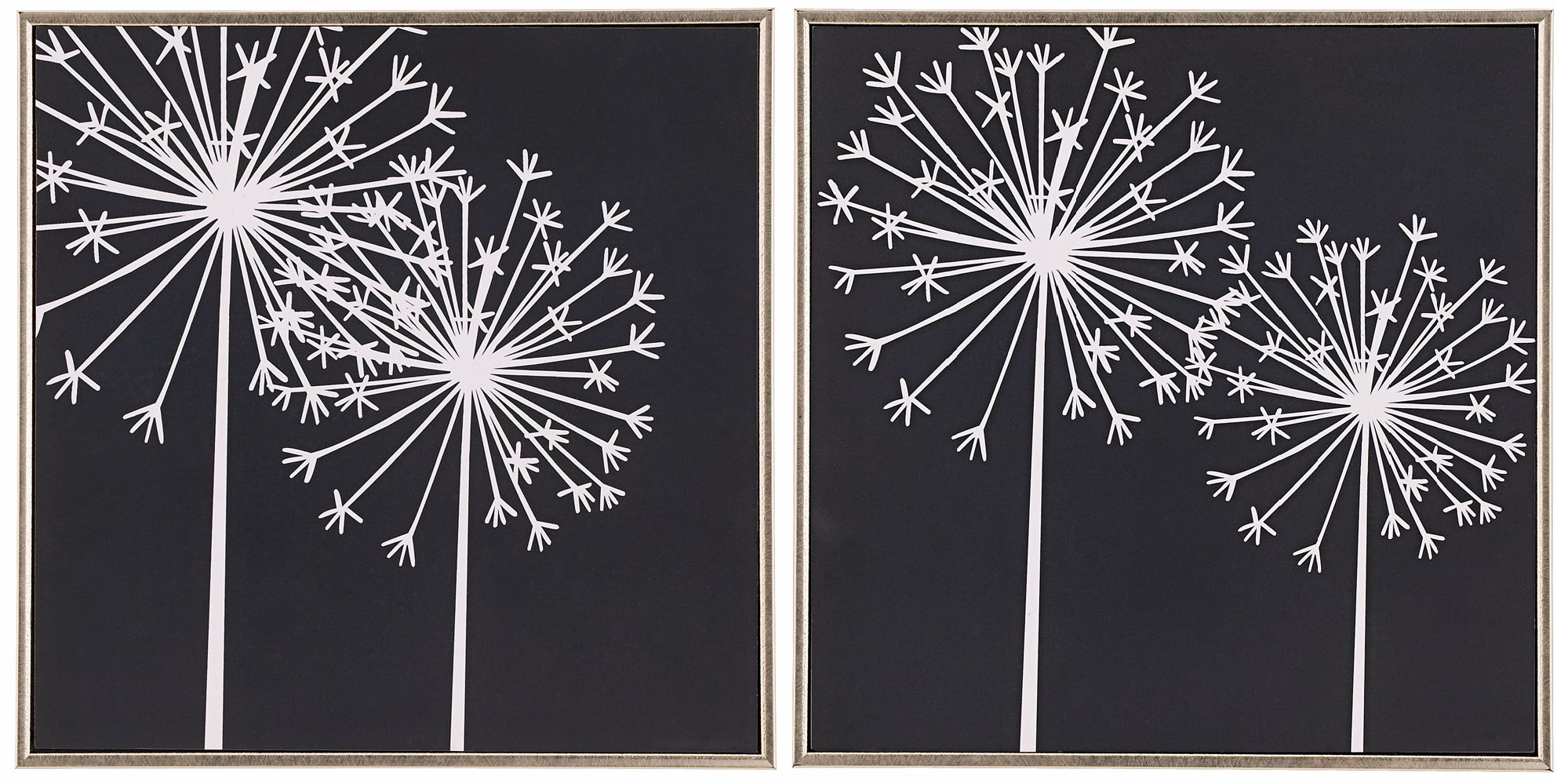 Set of 2 Dandelions I and II Black and White Wall Art