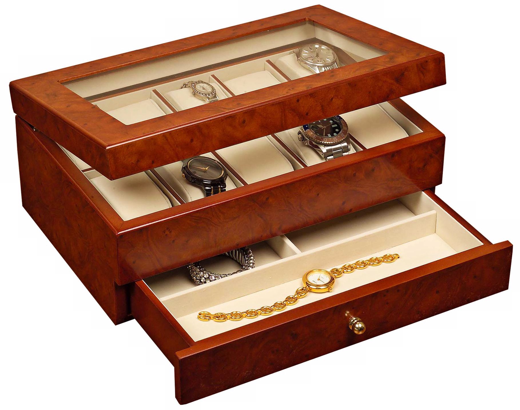 Winston Watch Display Case