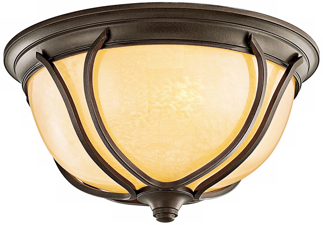 Pasadena Energy Efficient12 1/2" Wide Outdoor Ceiling Light