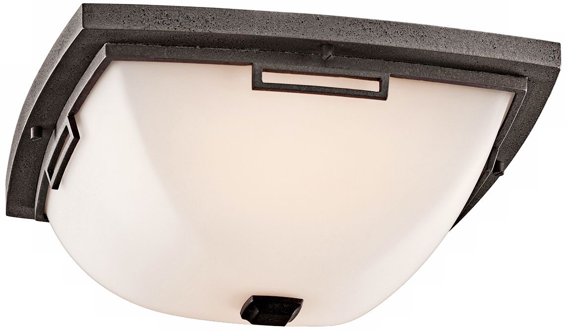 Leeds Energy Efficient 14" Wide Outdoor Ceiling Light