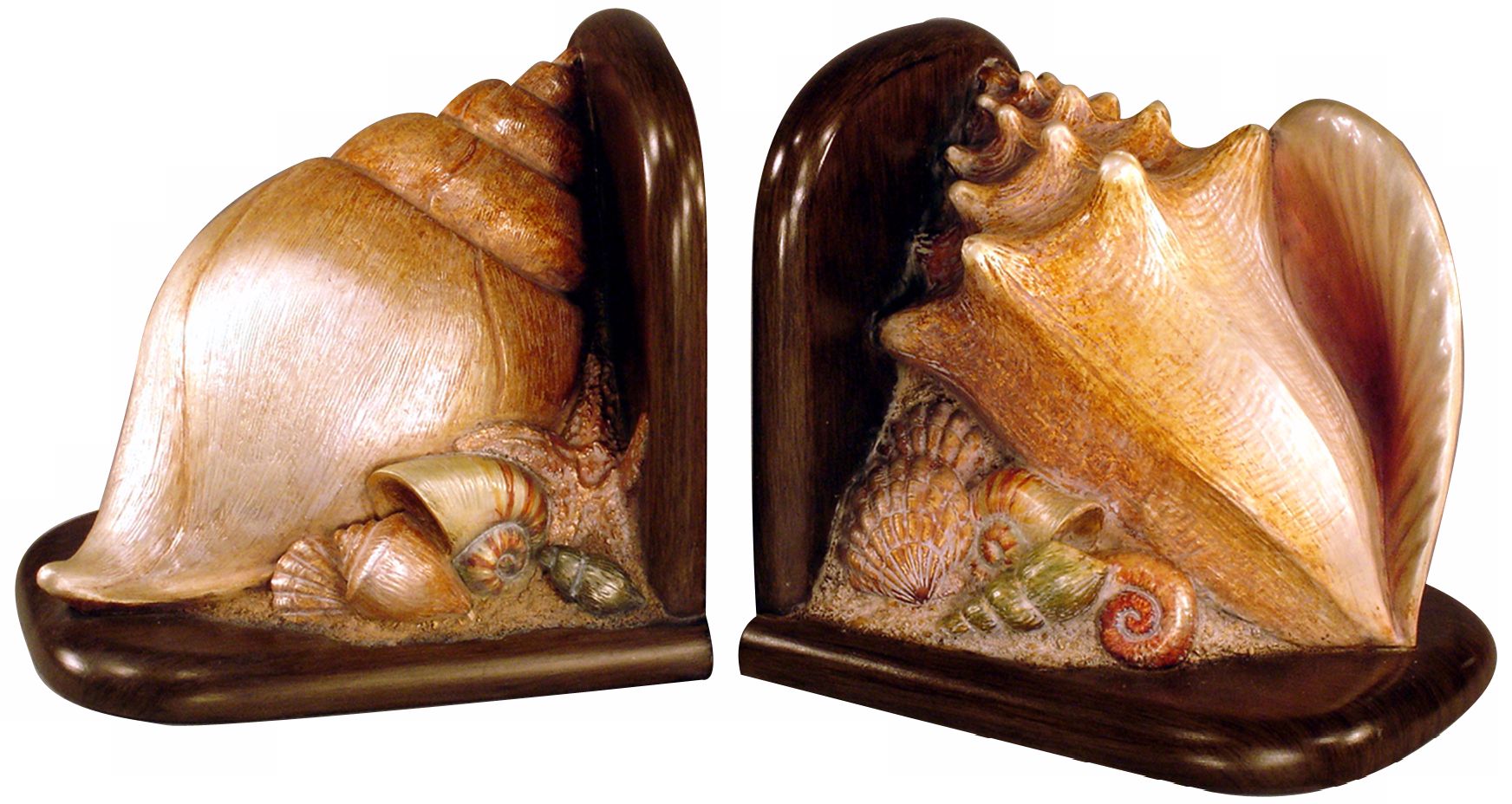 Judith Edwards Designs Shell Bookends