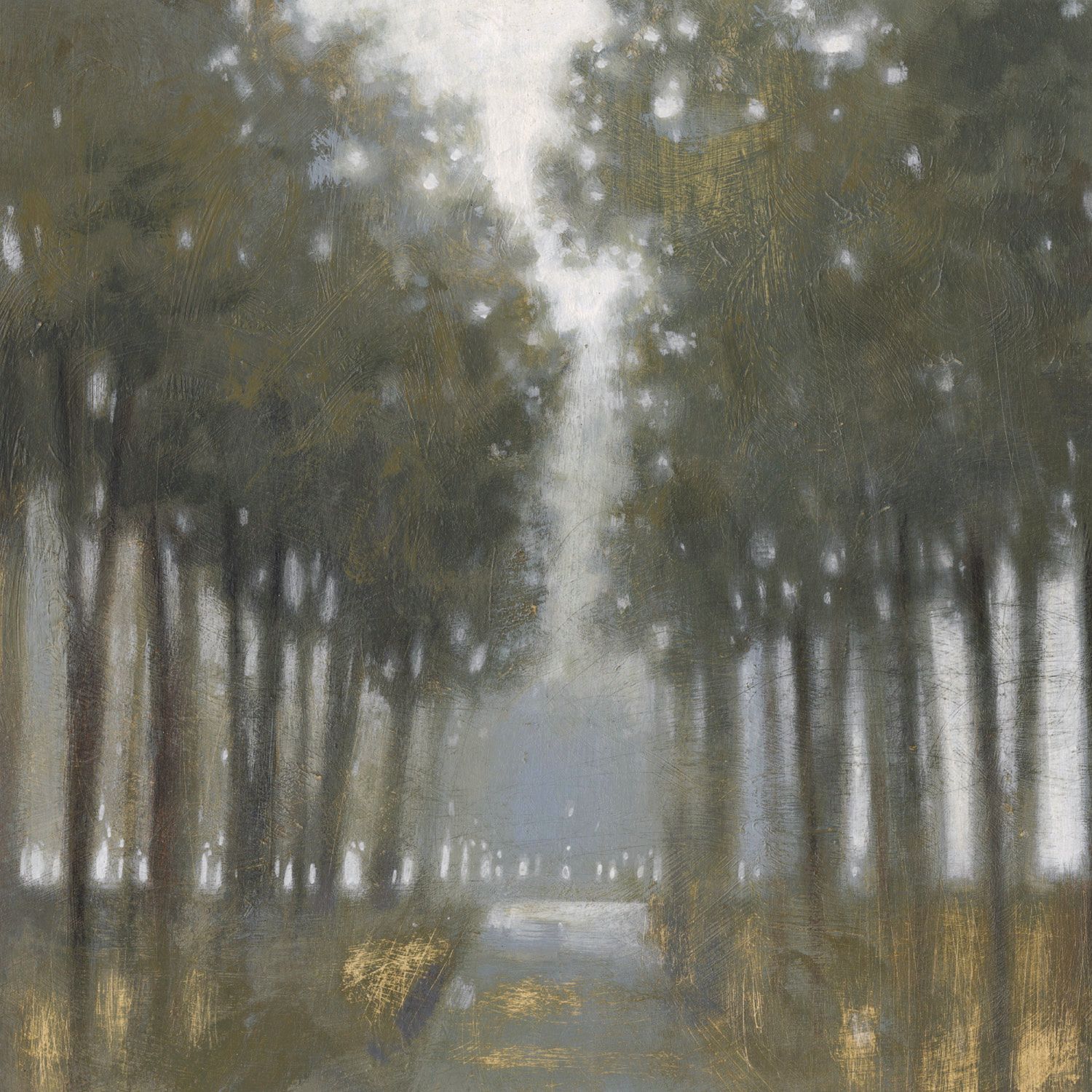 Sunlit Trees Giclee 30" Square Canvas Wall Art