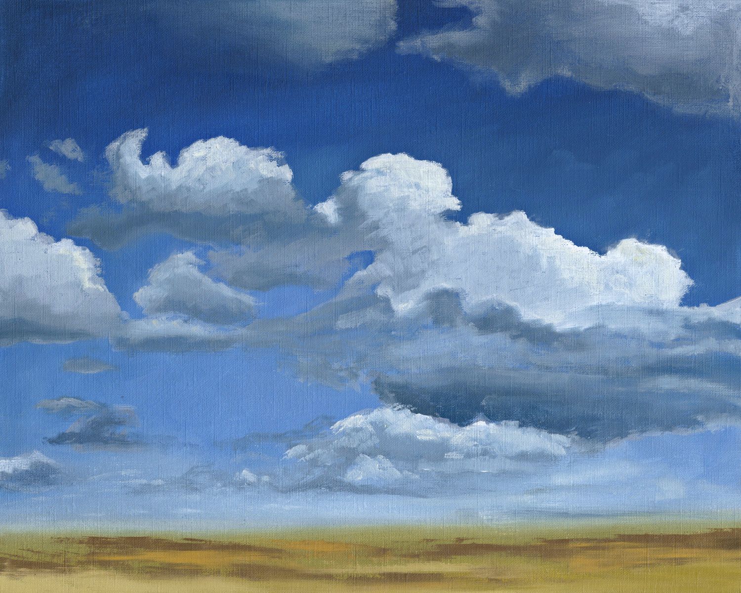 Big Sky Giclee 40" Wide Canvas Wall Art
