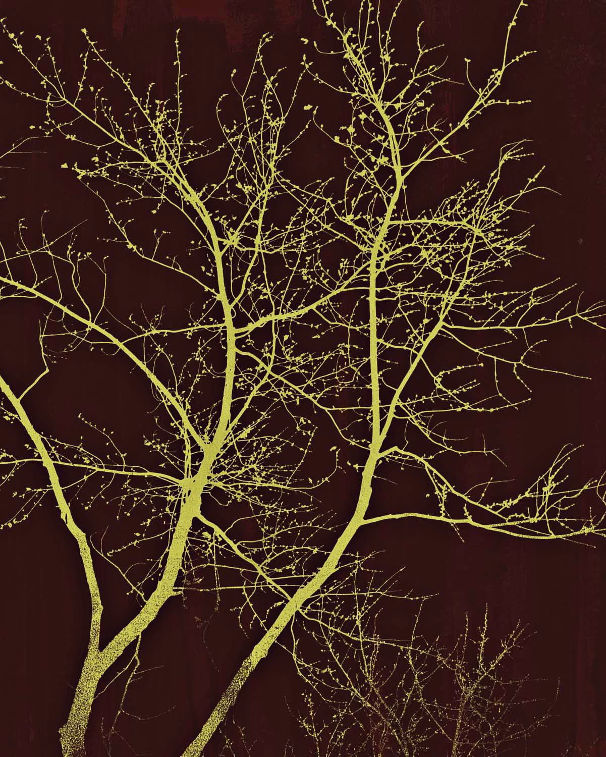 Walk in the Park One Giclee 40" High Canvas Wall Art