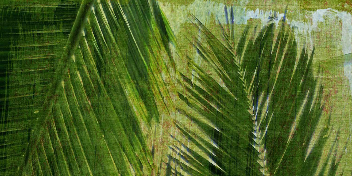 Palms Triptych Top Giclee 36" Wide Canvas Wall Art