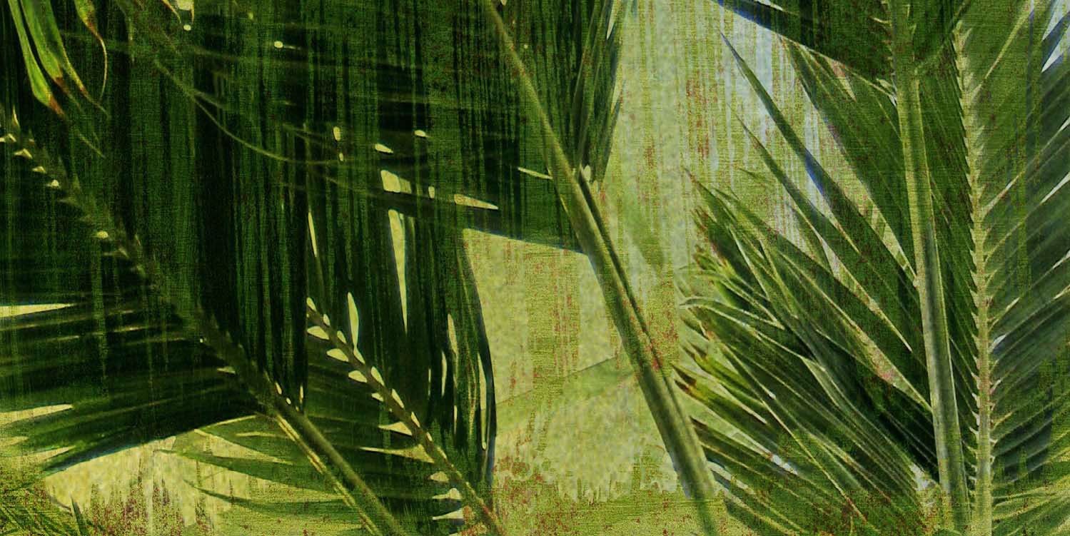 Palms Triptych Bottom Giclee 36" Wide Canvas Wall Art