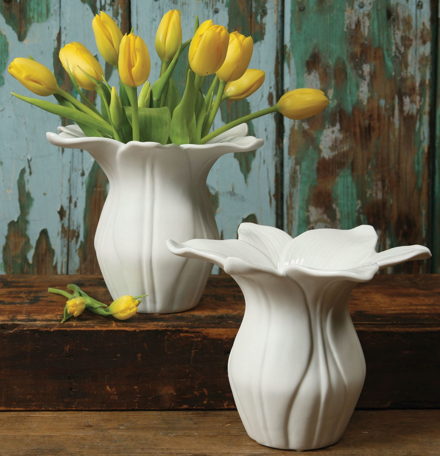 White Daffodil Vase