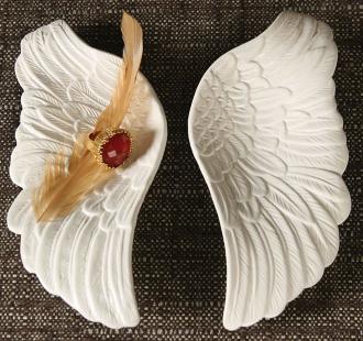 White Pair of Wings N2237