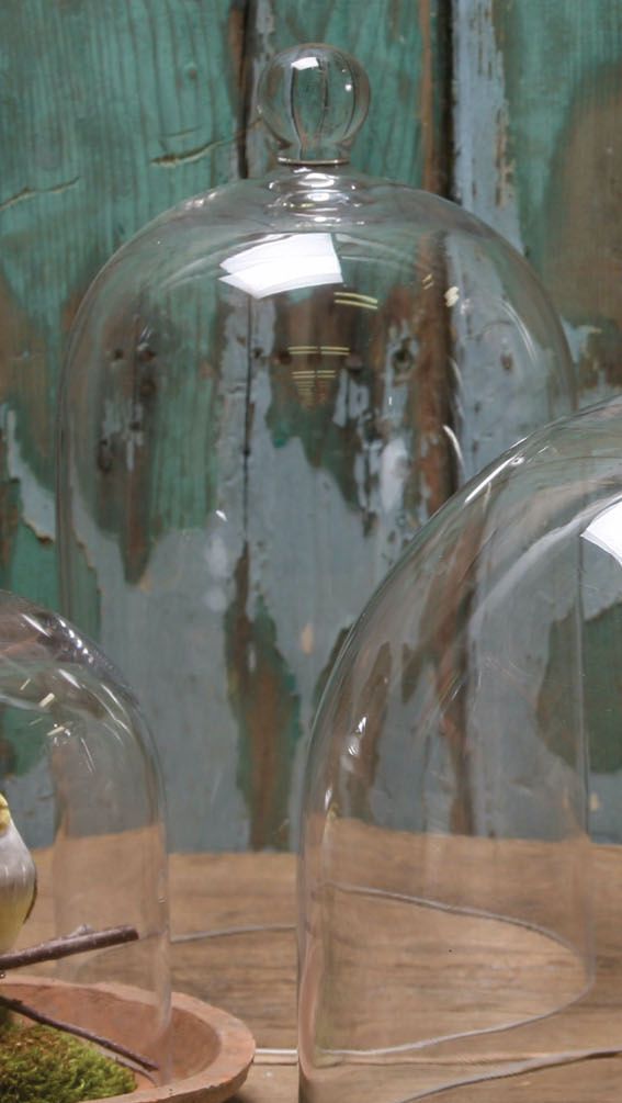 Medium Glass Dome