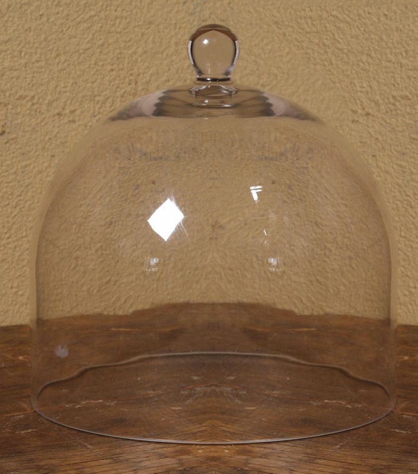 Large Bell Jar Glass Dome