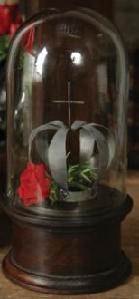 Clark Vitrine Display Case N2251