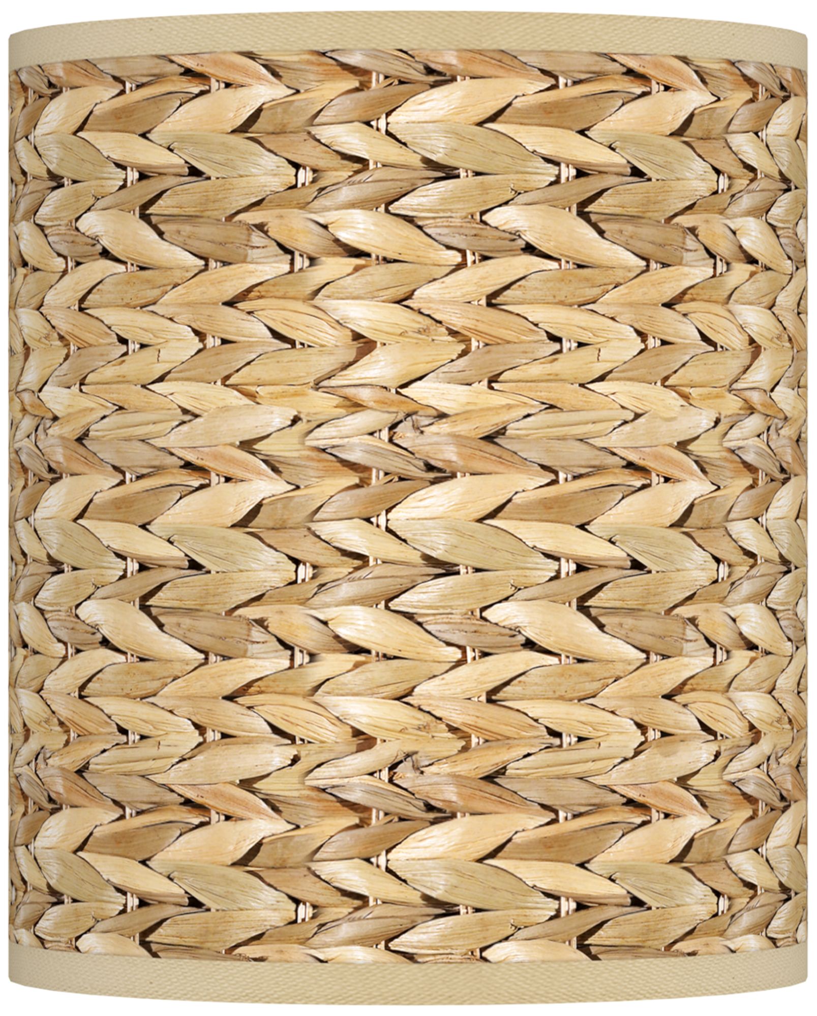 Seagrass Giclee Shade 10x10x12 (Spider)