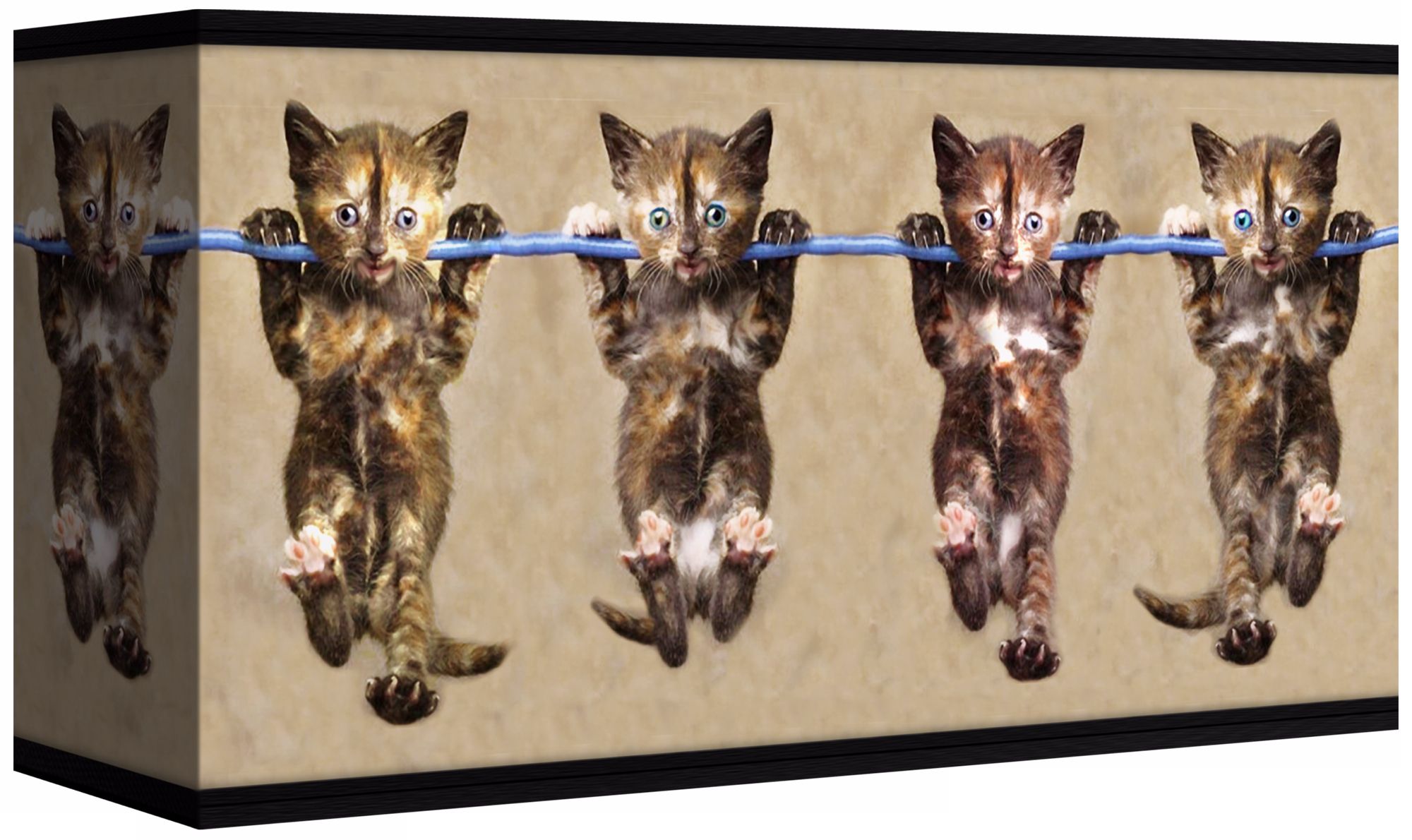 Cool Cat Giclee Shade 8/17x8/17x10 (Spider)