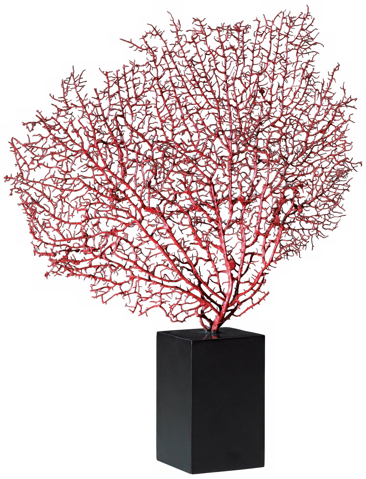 Red Sea Fan with Base