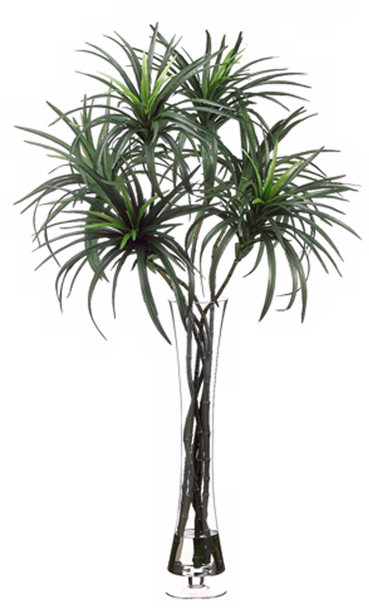 Dracaena Plant in Glass Vase Faux Plants