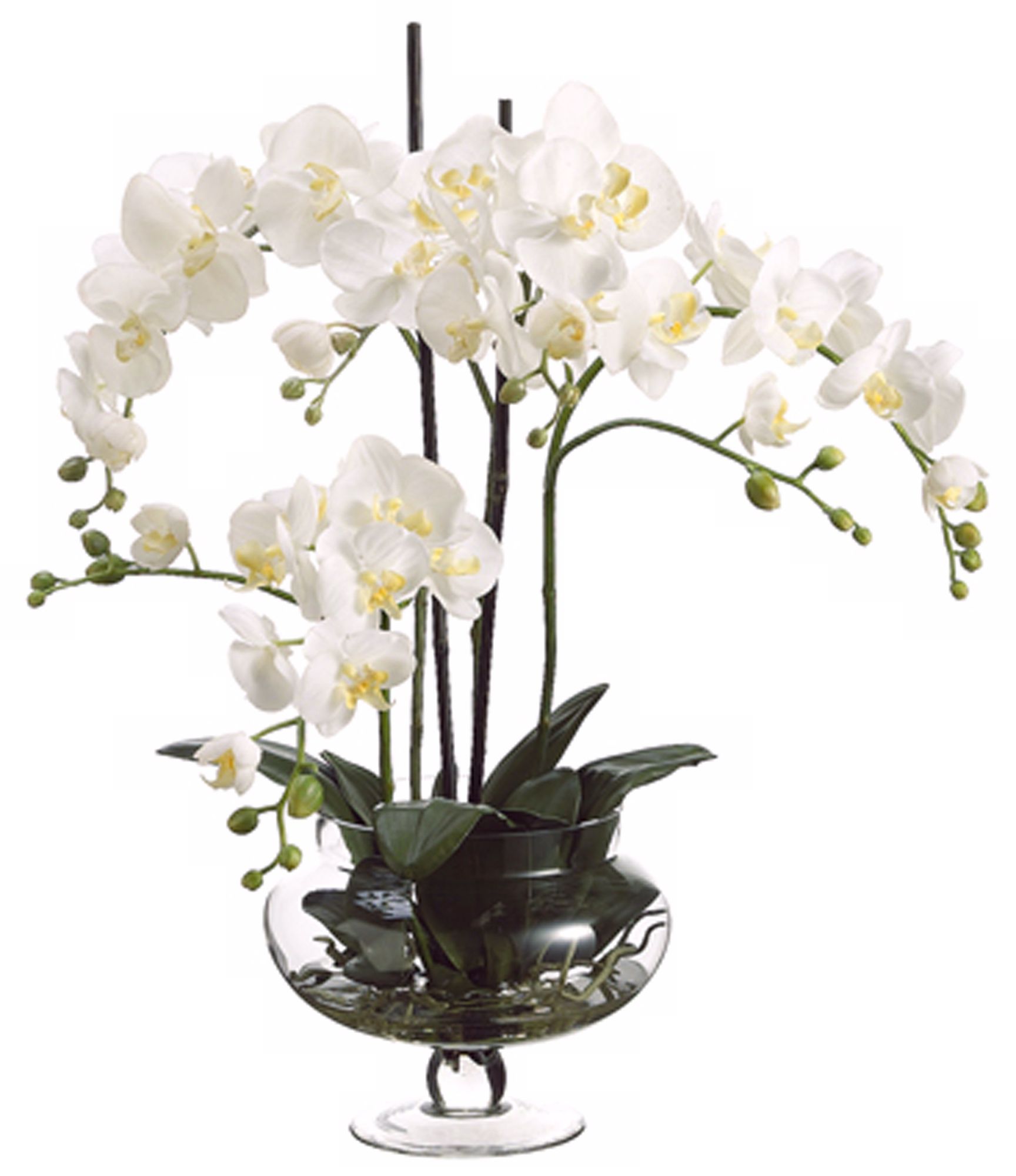 Cream Orchids in Clear Glass Vase Faux Flowers