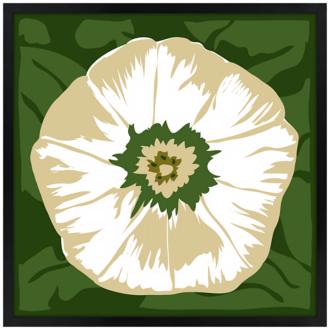 White Flower 31 Square Black Giclee Wall Art N7069