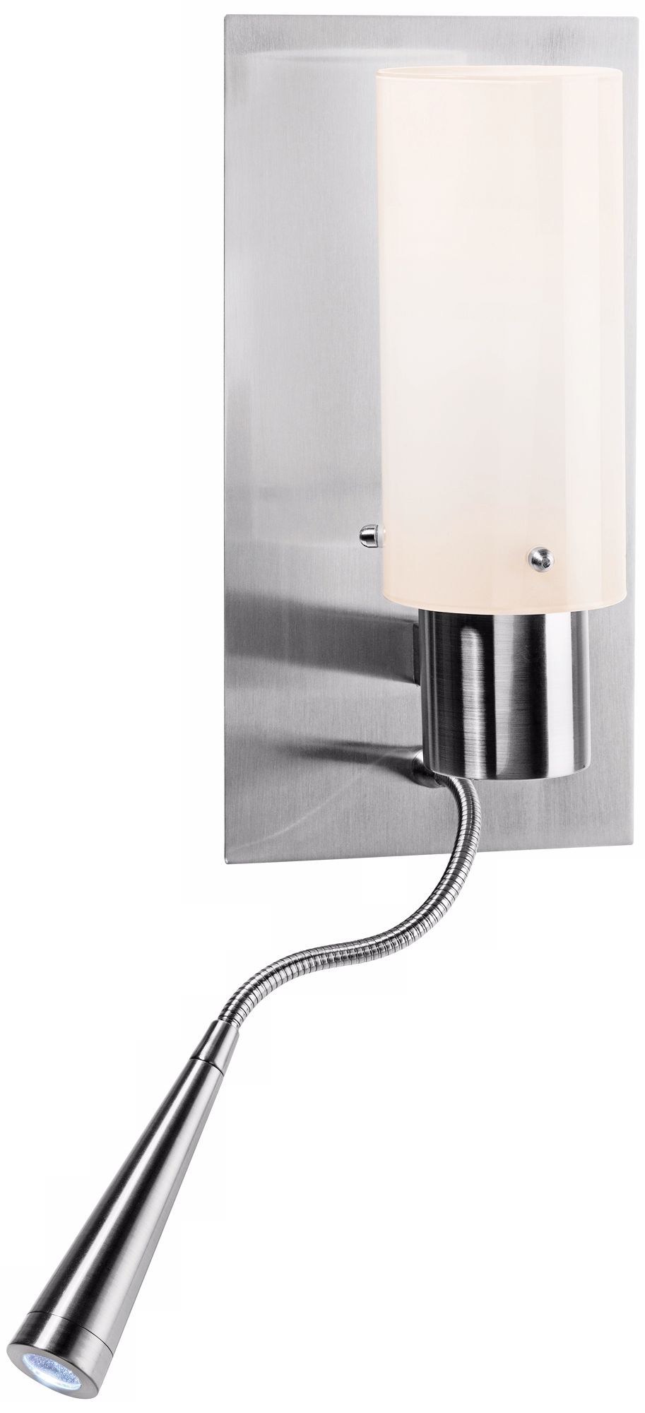 LED Duo Brushed Steel Gooseneck Wall Lamp