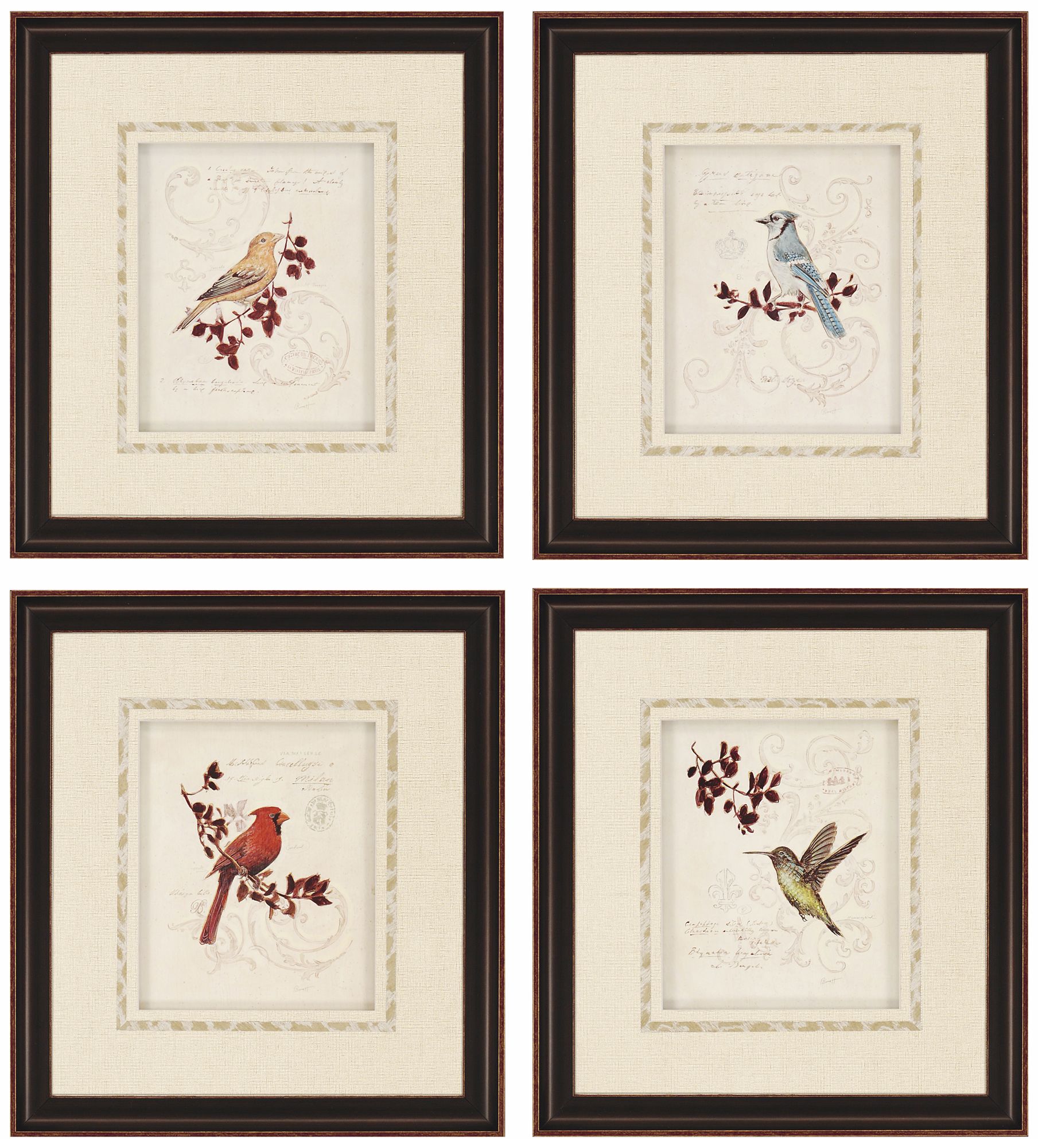 Set of 4 Birds Prints Wall Art
