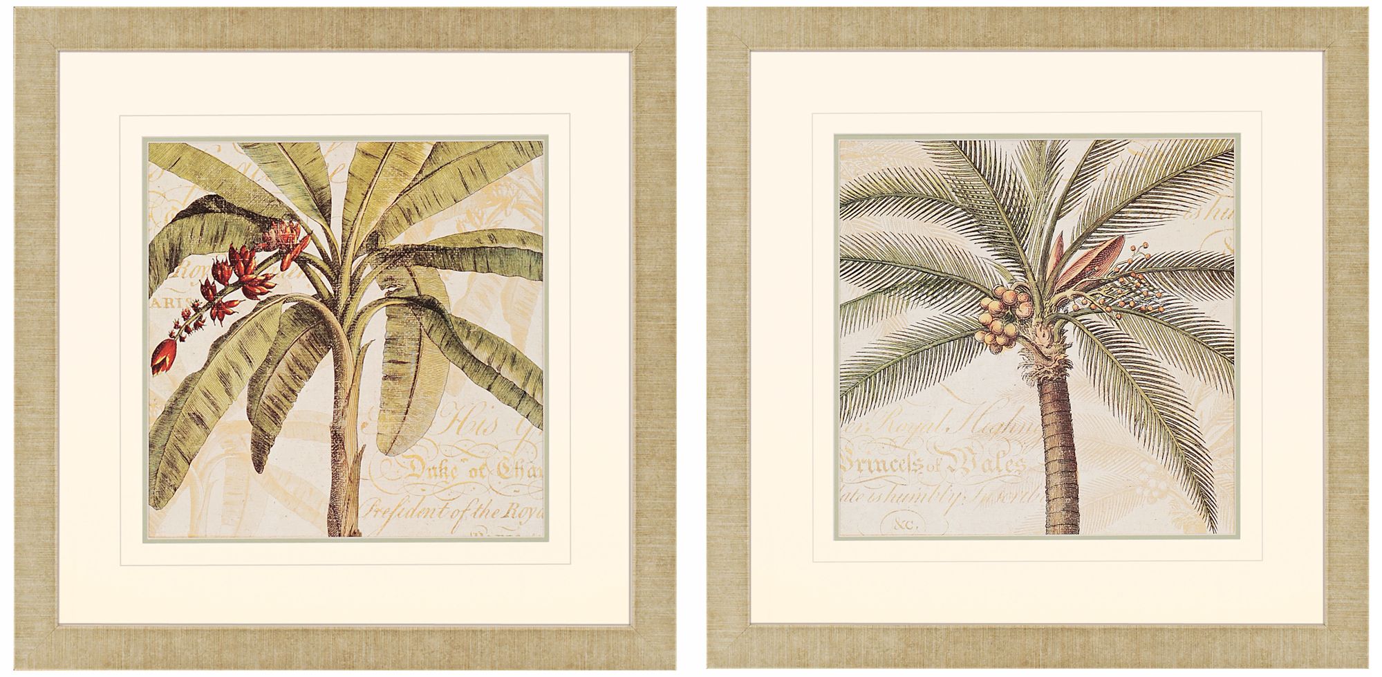 Set of Two Royal Palms Framed Wall Art