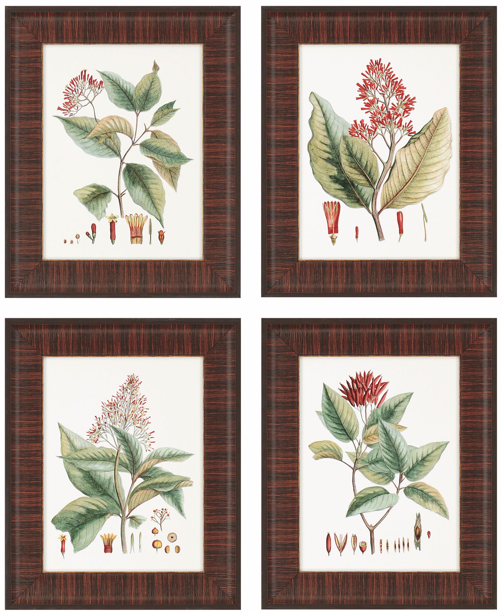 Set of Four Crimson Botanical Framed Wall Art