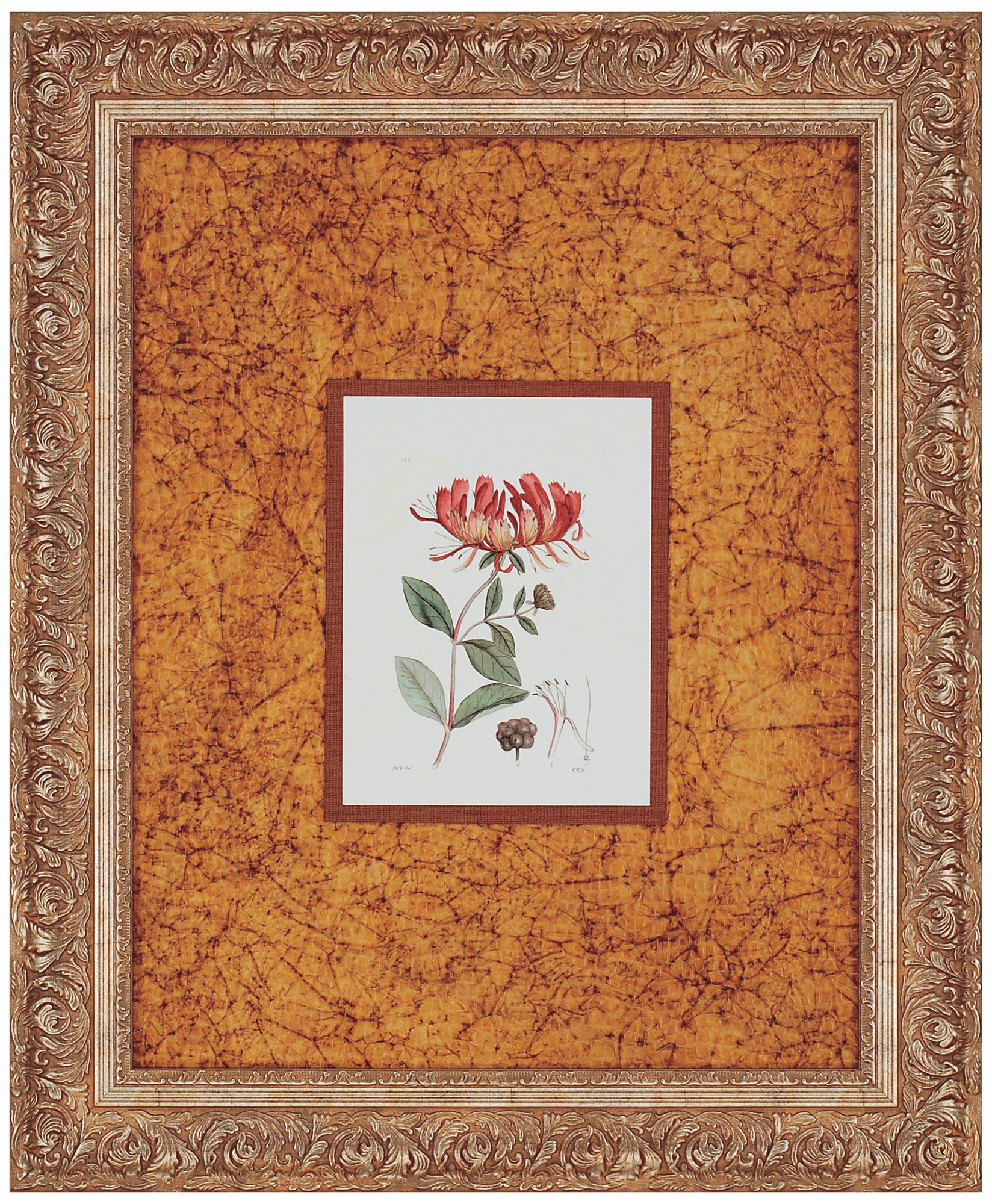 Antique Floral Plate II Print Wall Art