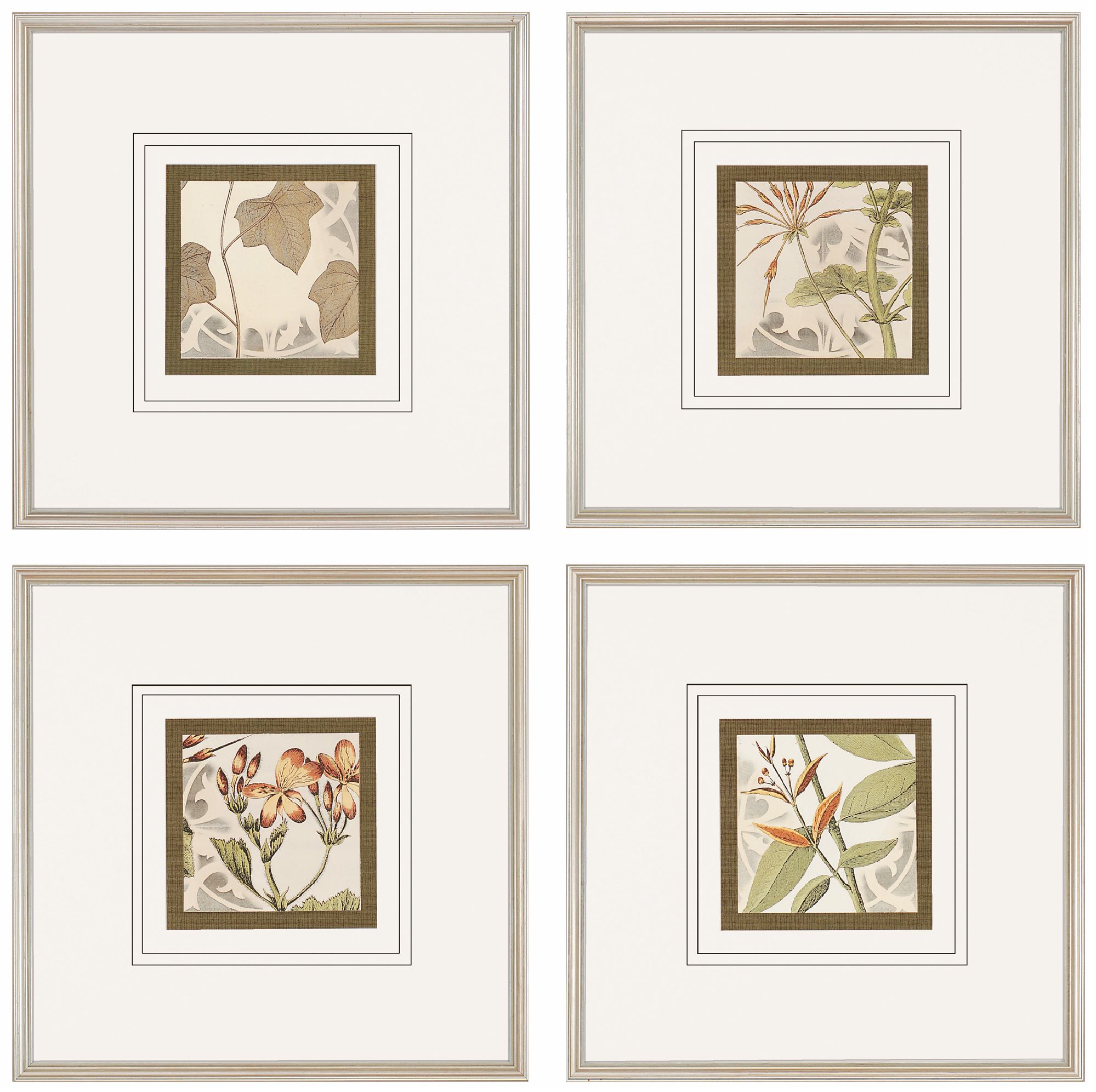 Set of 4 Botanical Quadrant Prints III Wall Art