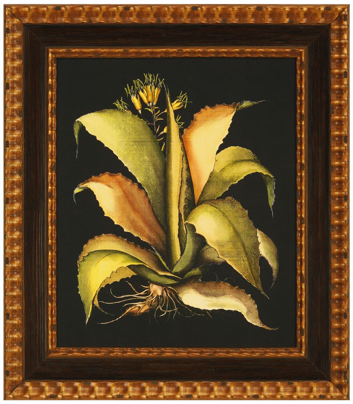 Aloe II Framed Wall Art