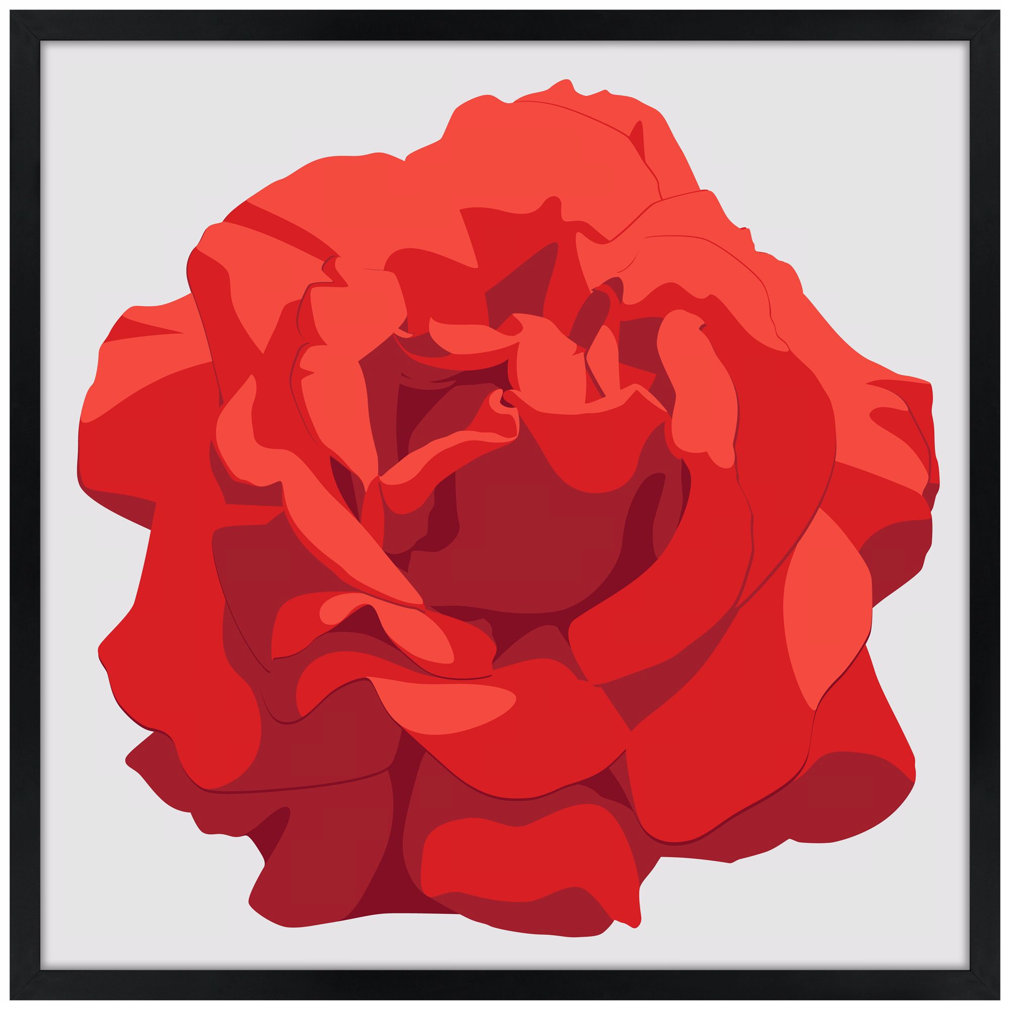 Perfect Red Rose 26" Square Black Giclee Wall Art