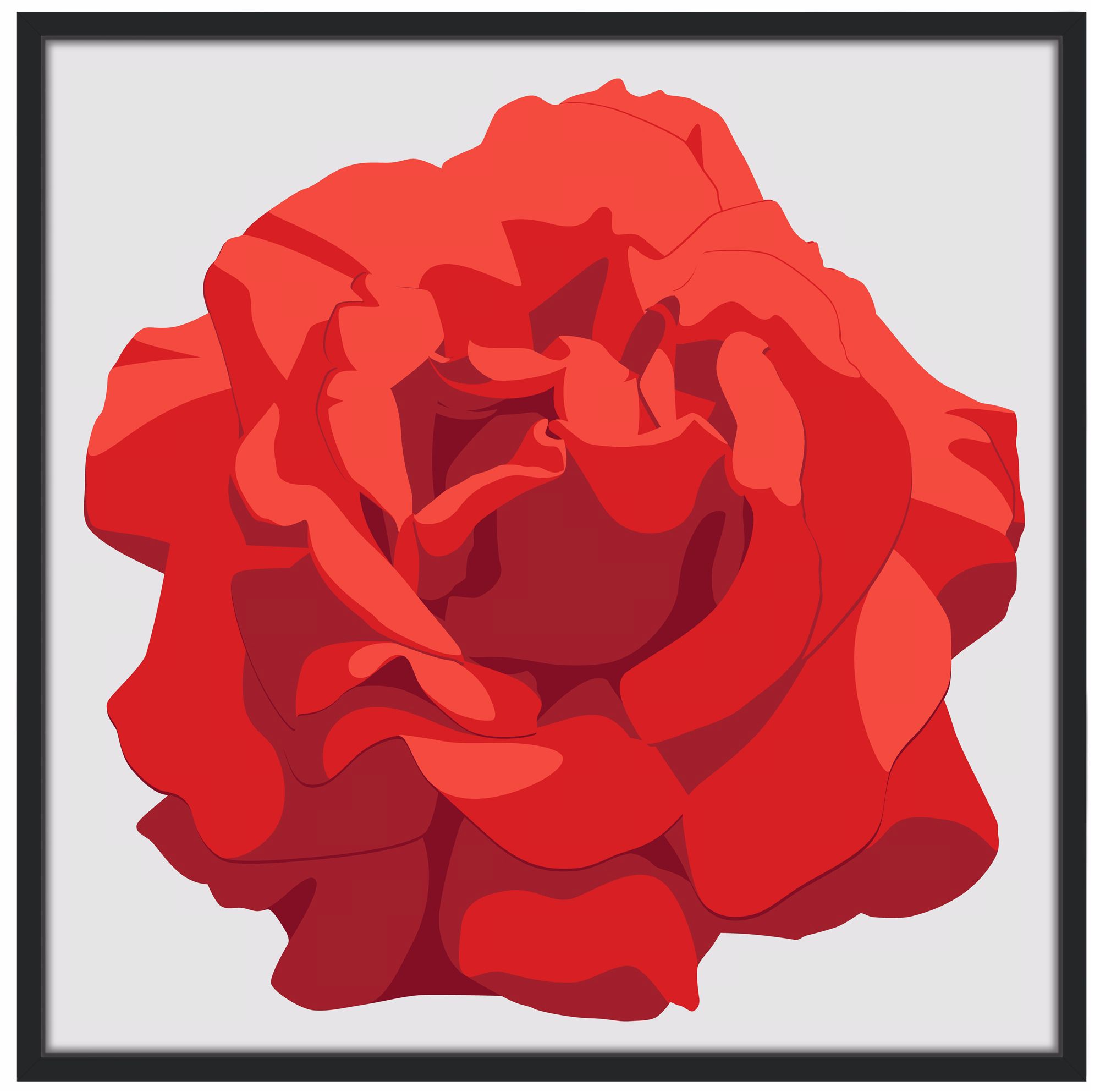 Perfect Red Rose 37" Square Black Giclee Wall Art