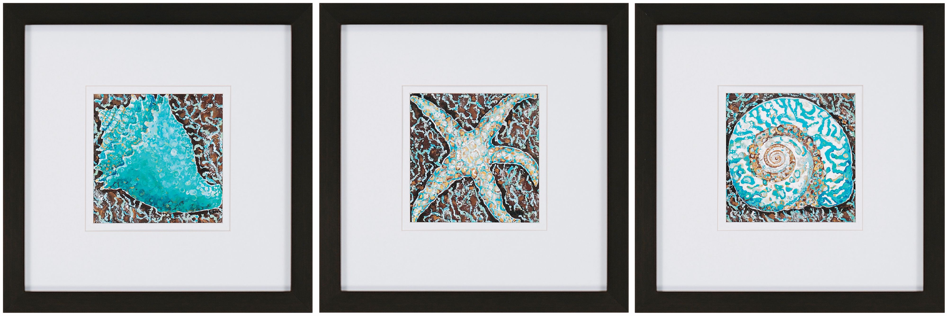 Turquoise Shells 25" Square Set of 3 Wall Art Prints