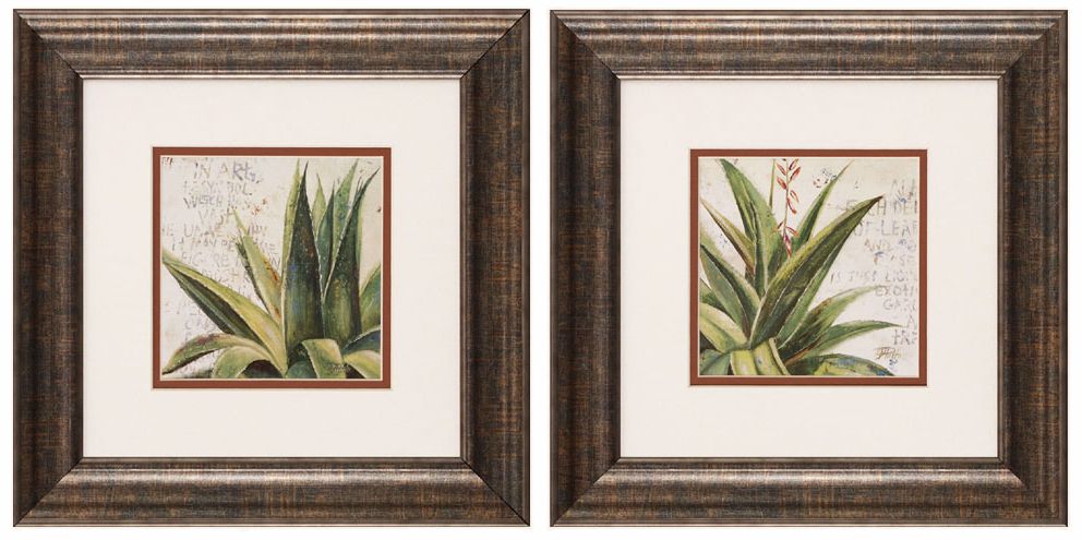 Aloe I and II 13" Square Framed Wall Art