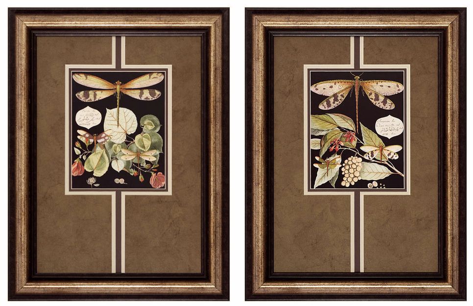 Dragonfly I and II 24" High Framed Wall Art