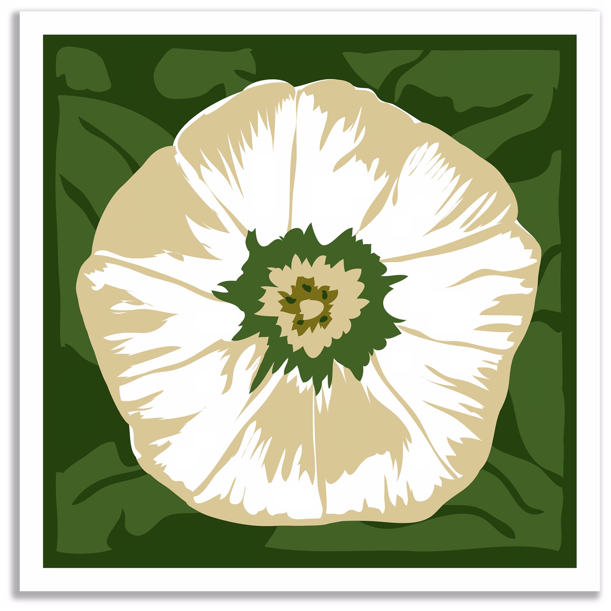White Flower 25 Square Giclee Wall Art Poster P3571