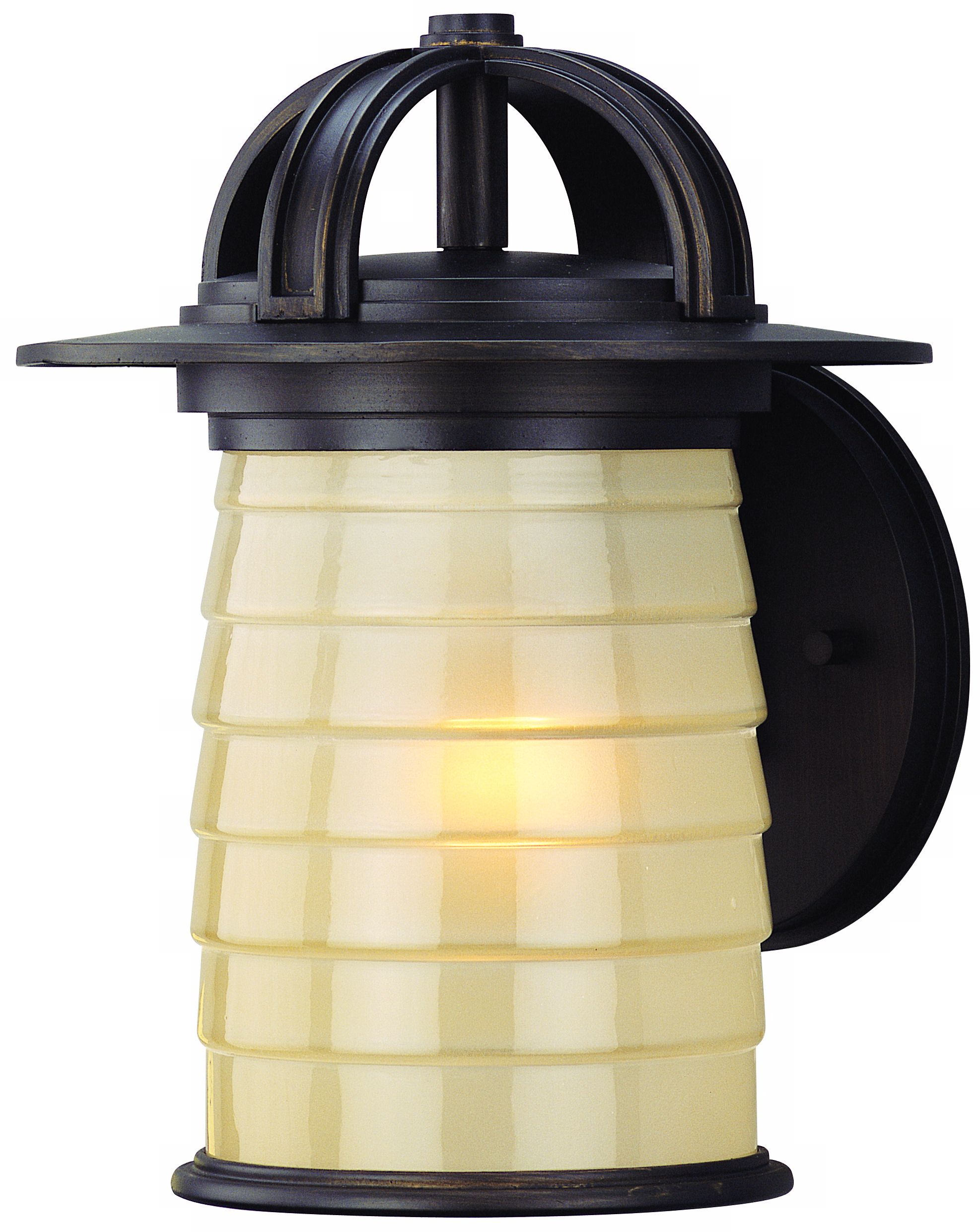 Tiburon Collection Bronze 10 1/2" High Outdoor Wall Light