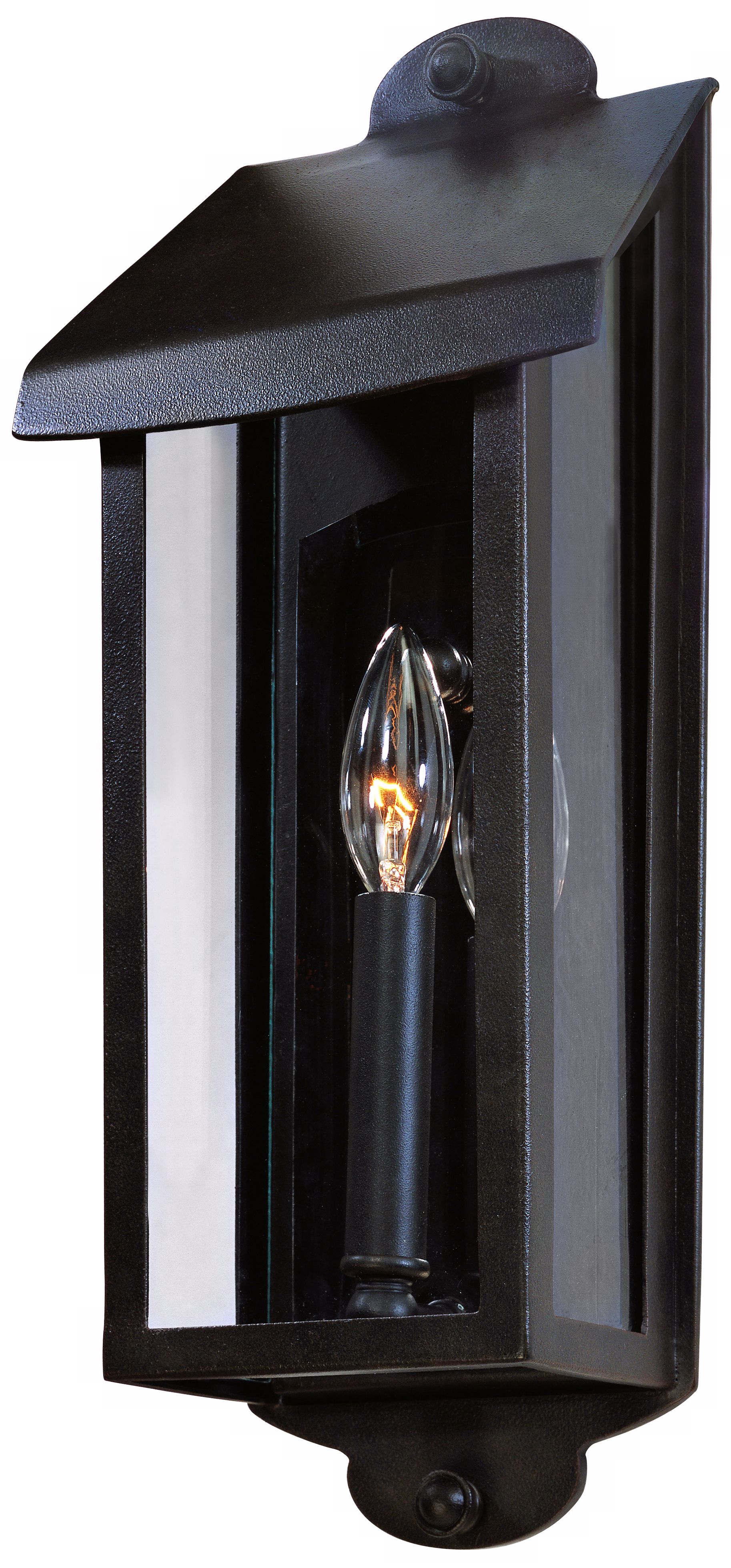Alpine Collection 17 1/4" High Outdoor Wall Light