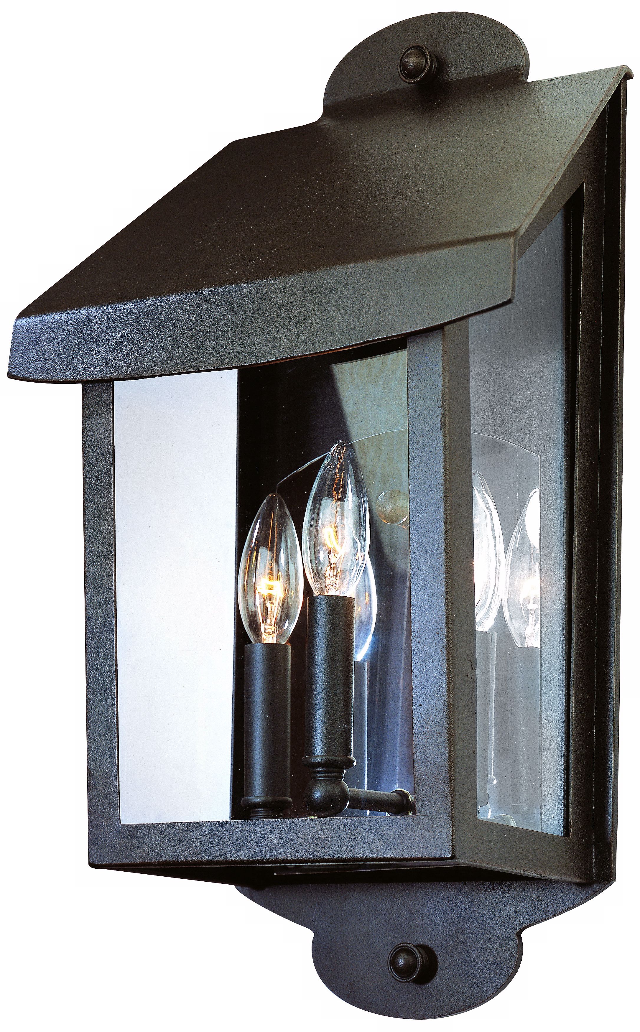 Alpine Collection 19 1/2" High Outdoor Wall Light