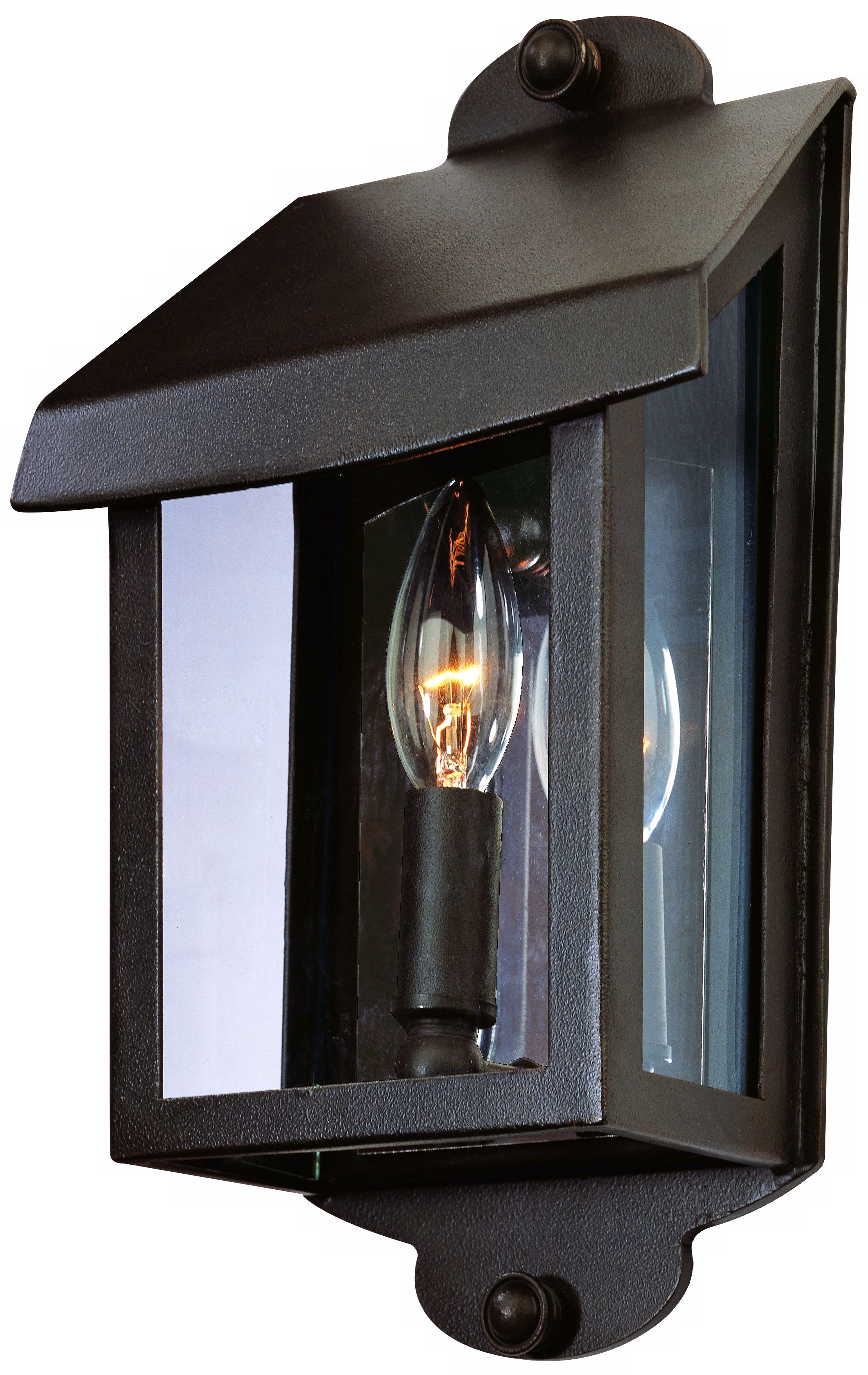 Alpine Collection 13" High Outdoor Wall Light