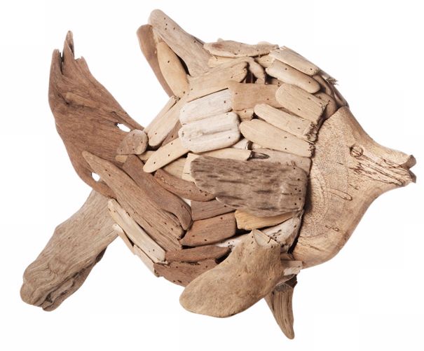 Natural Driftwood Angel Fish