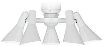 5 Light Ceiling Fan Light Kit in White R1741