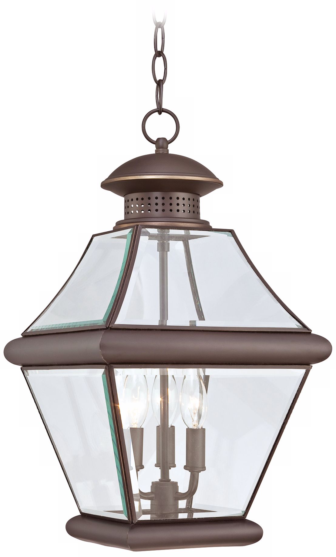 Quoizel Rutledge Bronze 19 1/2" High Outdoor Hanging Light