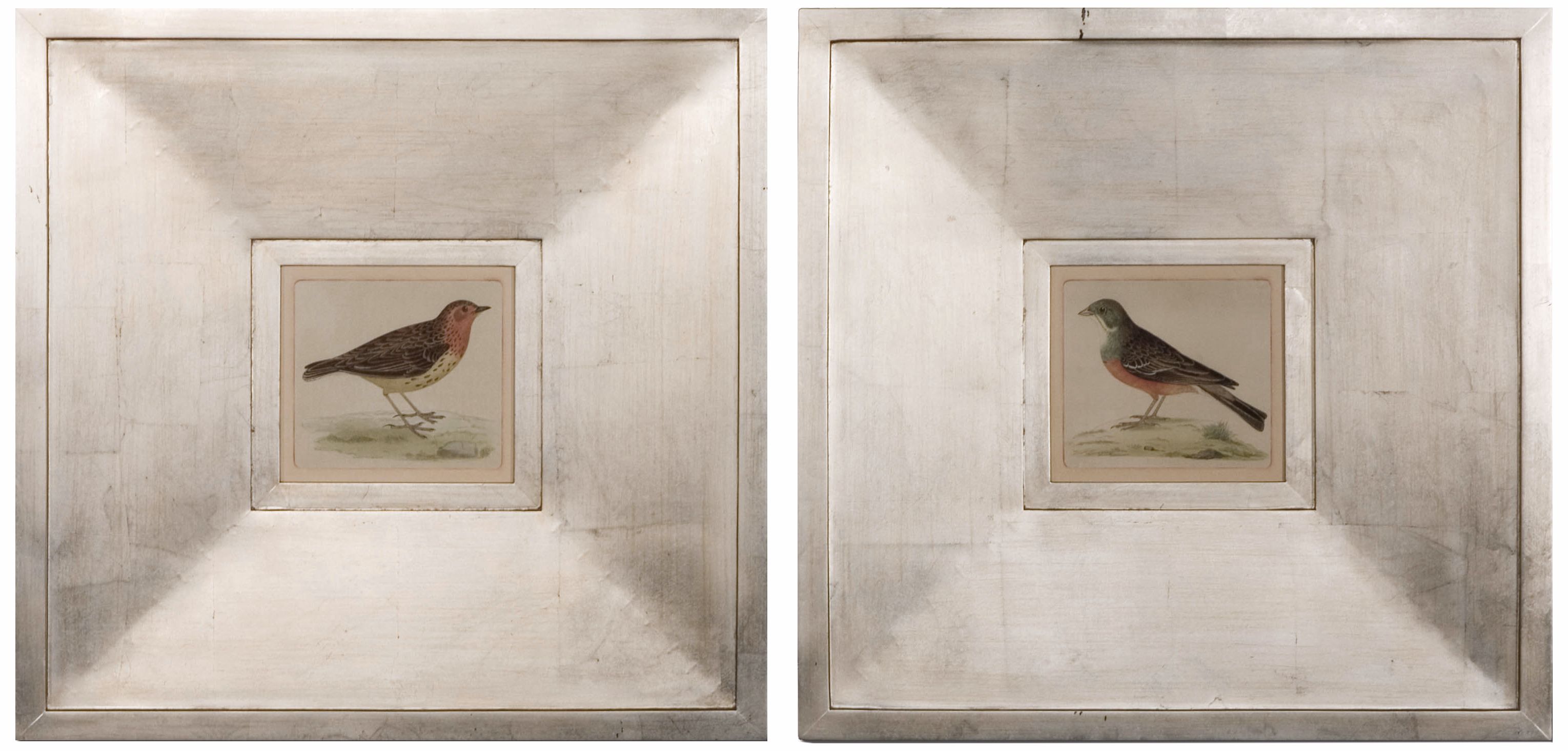 Uttermost Set of 2 Natures Best  25 3/4" High Wall Art