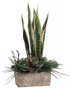 Green & Pearl Sanseveria and Succulent Garden Arrangement