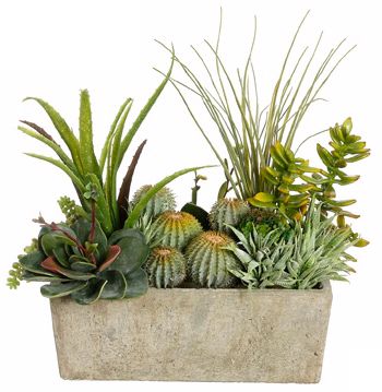Succulent and Cactus Pearl Stone Pot Botanical Arrangement