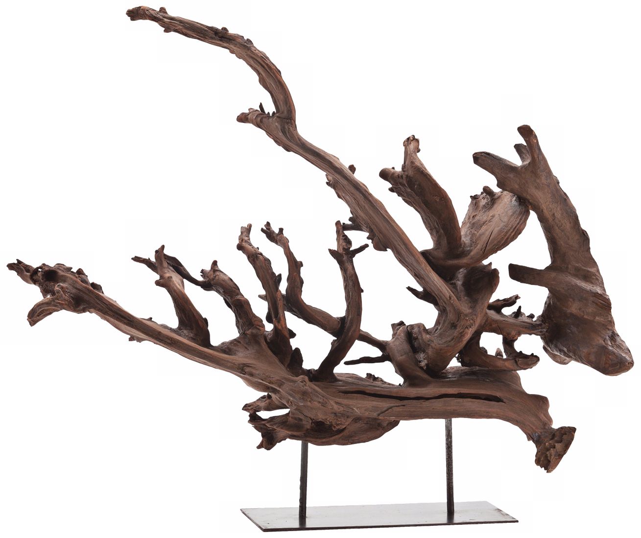 Small Kazu Dragon Tree Root Iron Sculpture R8551