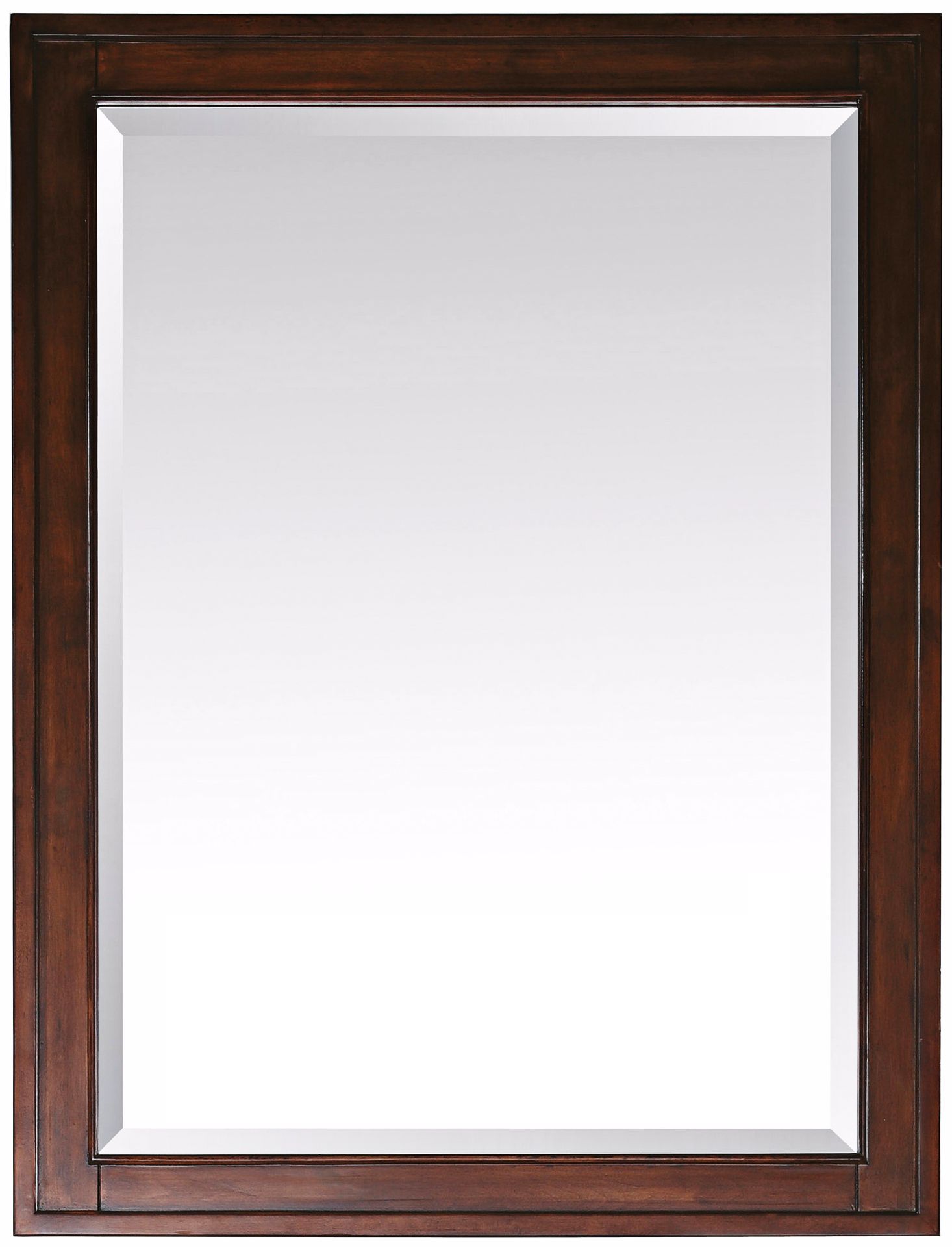 Madison Tobacco 28" Wide Rectangular Wall Mirror
