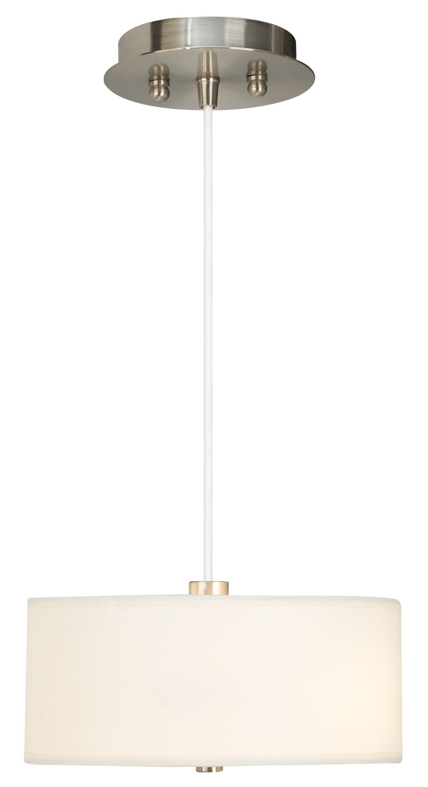 Brushed Steel 10" Wide Two Light Pendant