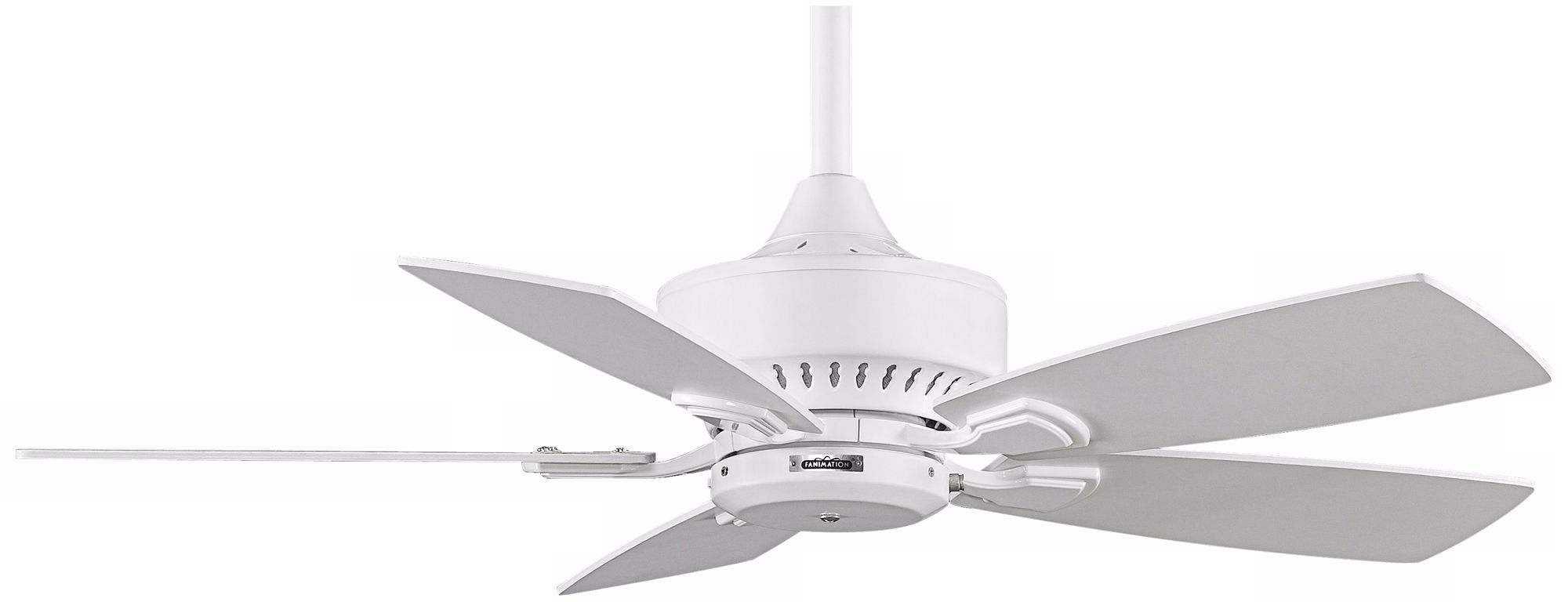 42" Fanimation Cancun White Ceiling Fan