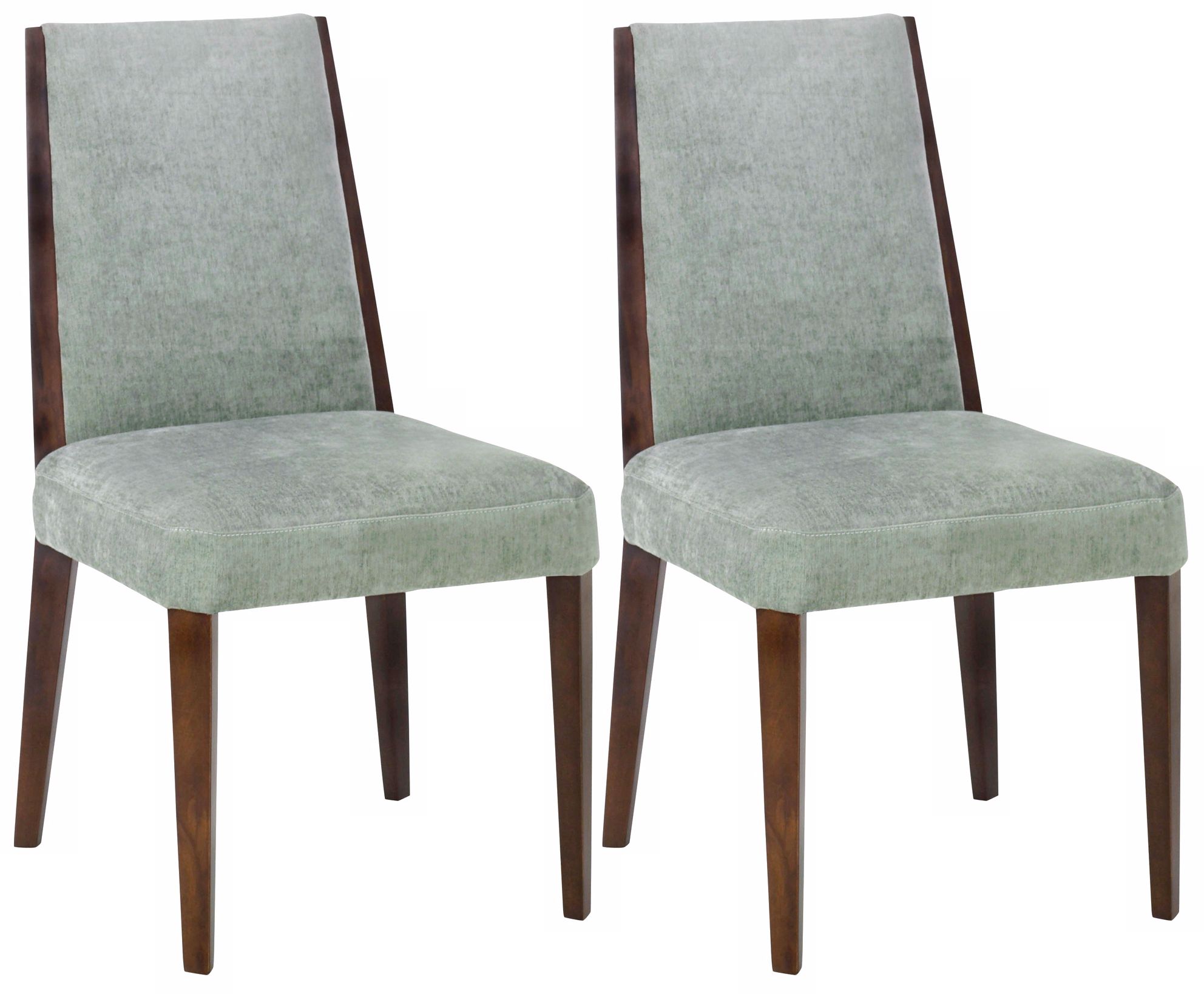 Set of 2 Neo Collection Lagoon Side Chairs