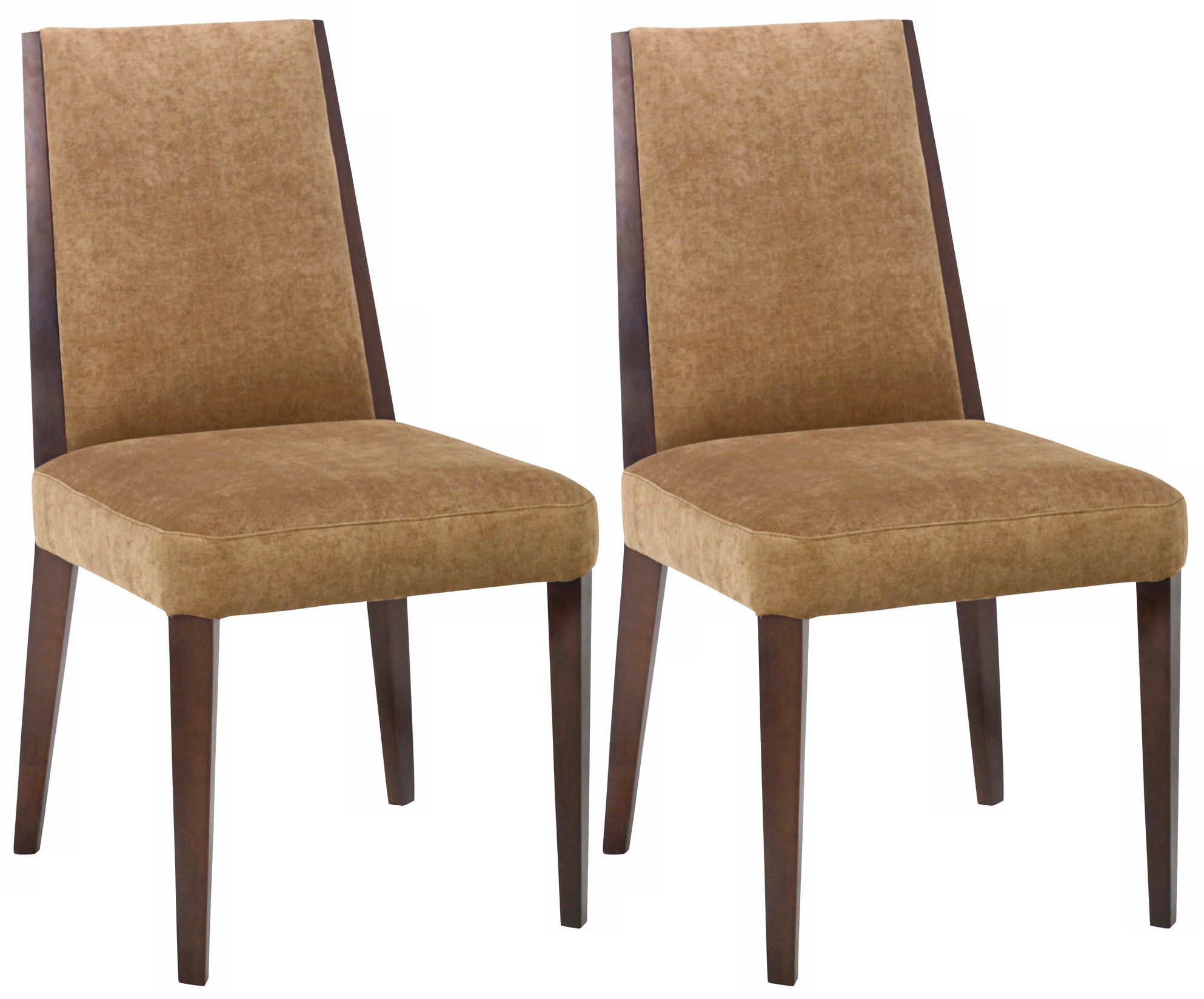 Set of 2 Neo Collection Tobacco Side Chairs